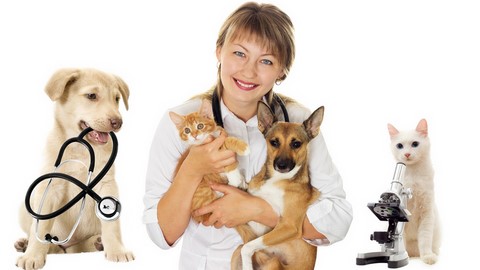 health for pet porto seguro